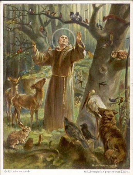Sfântul Francisc de Assisi este ocrotitorul viețuitoarelor