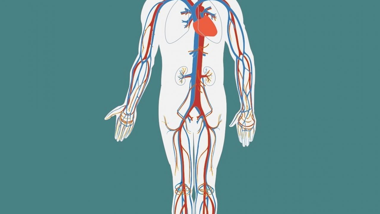 inflamația articulațiilor gâtului și a cefaleei osteoartroza articulațiilor umărului durere în mâini