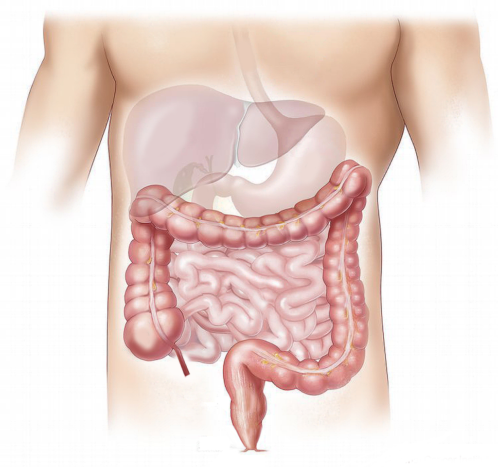pierderea în greutate din intestinul necorespunzător)
