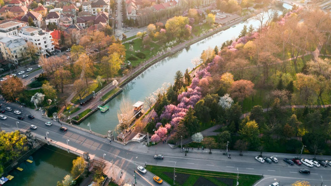 TimiÈoara De Ce Ar Trebui SÄ Vizitezi NeapÄrat OraÈul De Pe Bega