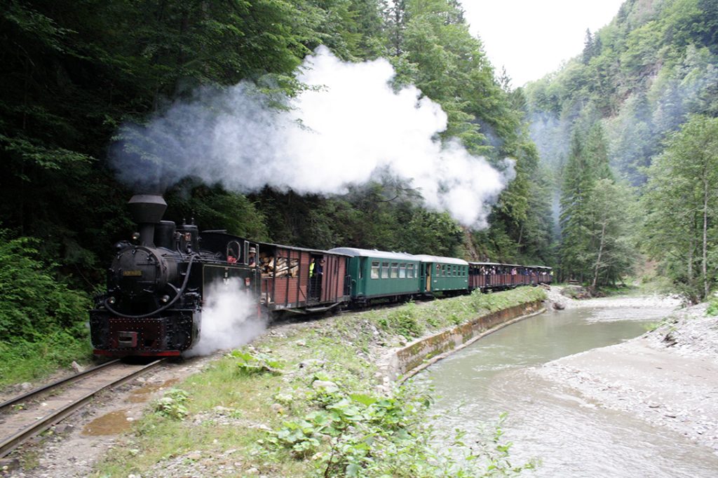 Mocănița de pe Valea Vaserului, județul Maramureș