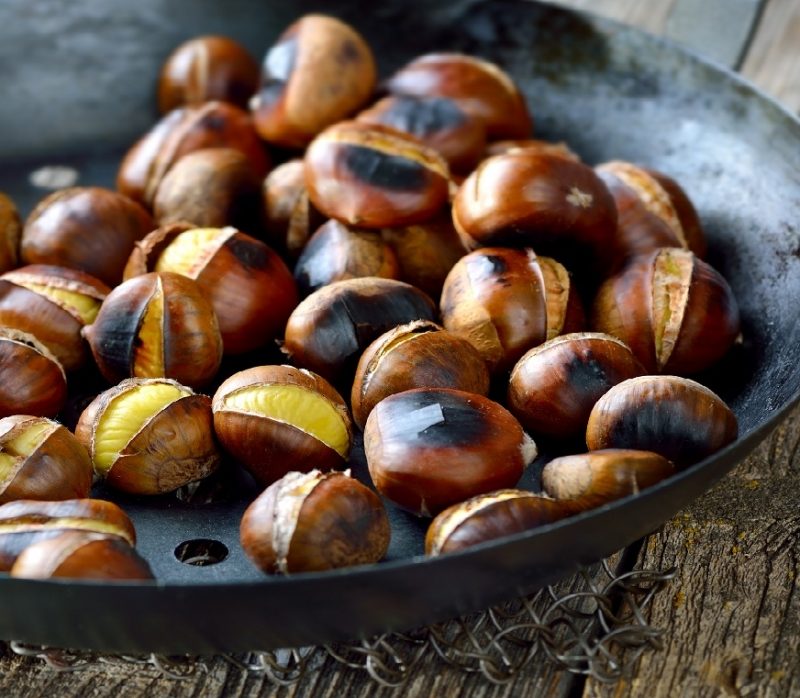 castane de la reeta varicoasa)